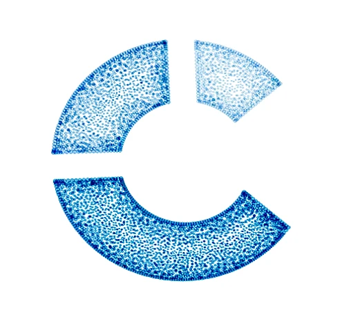 C - inics Logo - Consulting Business Intelligence & Analytics